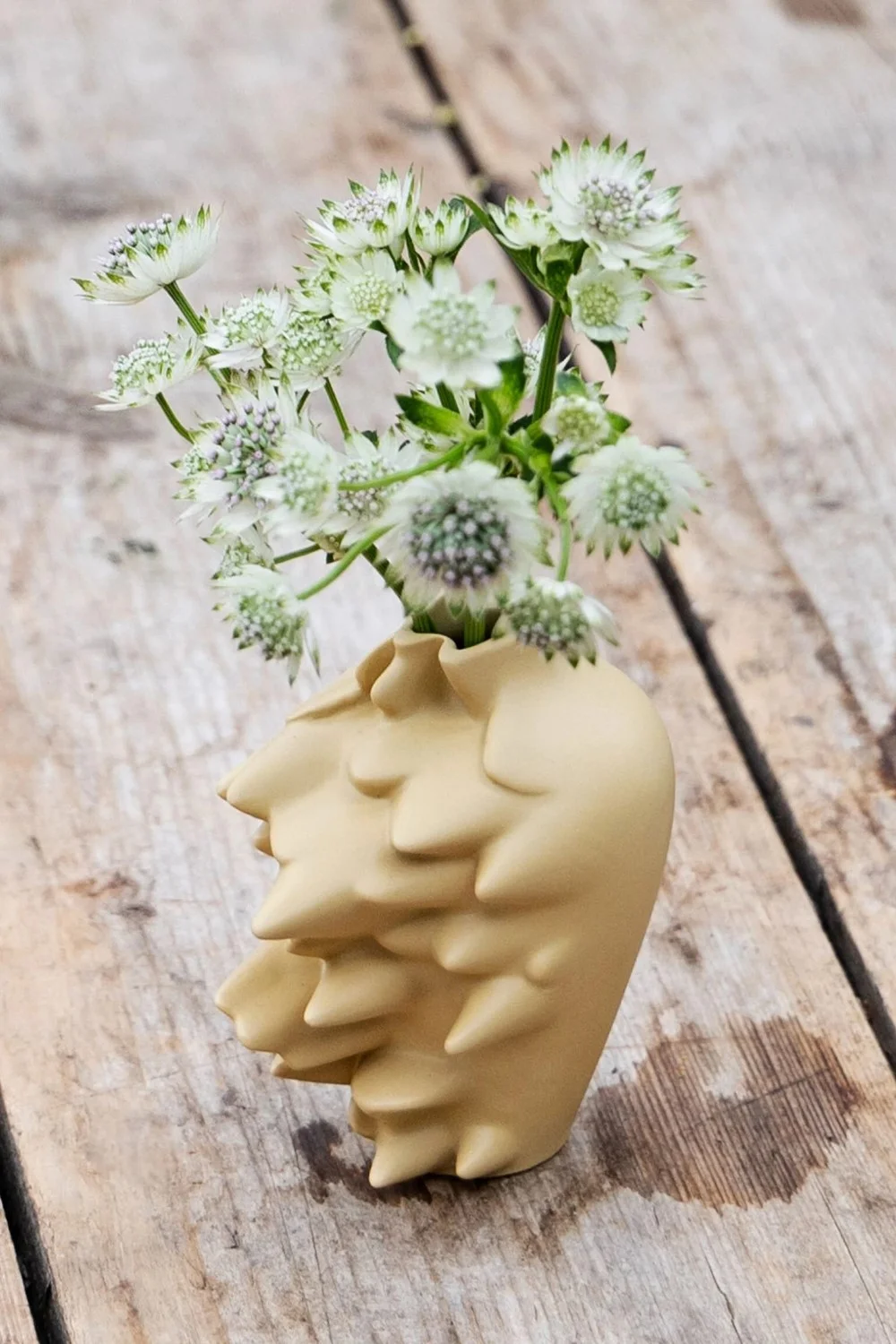 RS_minivaza_Fast (Vlastní)