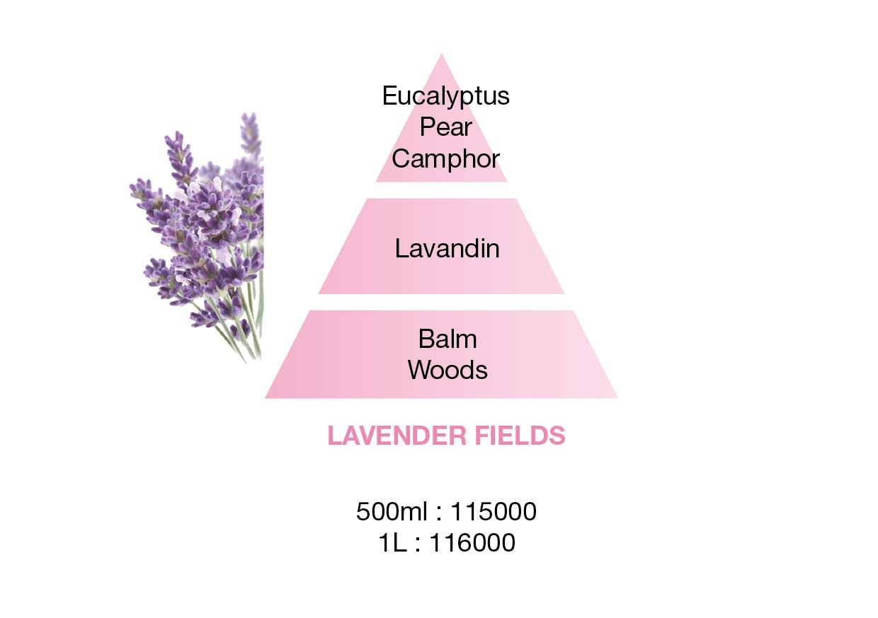 BERGER Lavander Fields/Levandulové pole difuzér s náplní kostka 0,1l