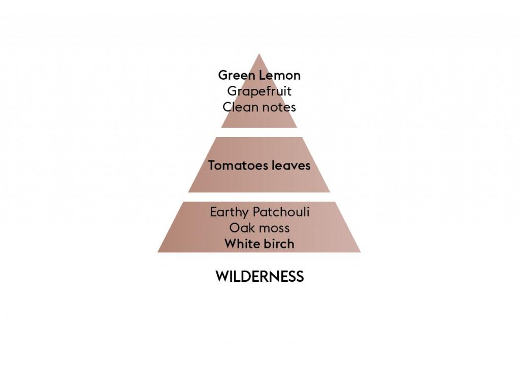 Aroma difuzér Mineral, černý + náplň Divočina 180 ml