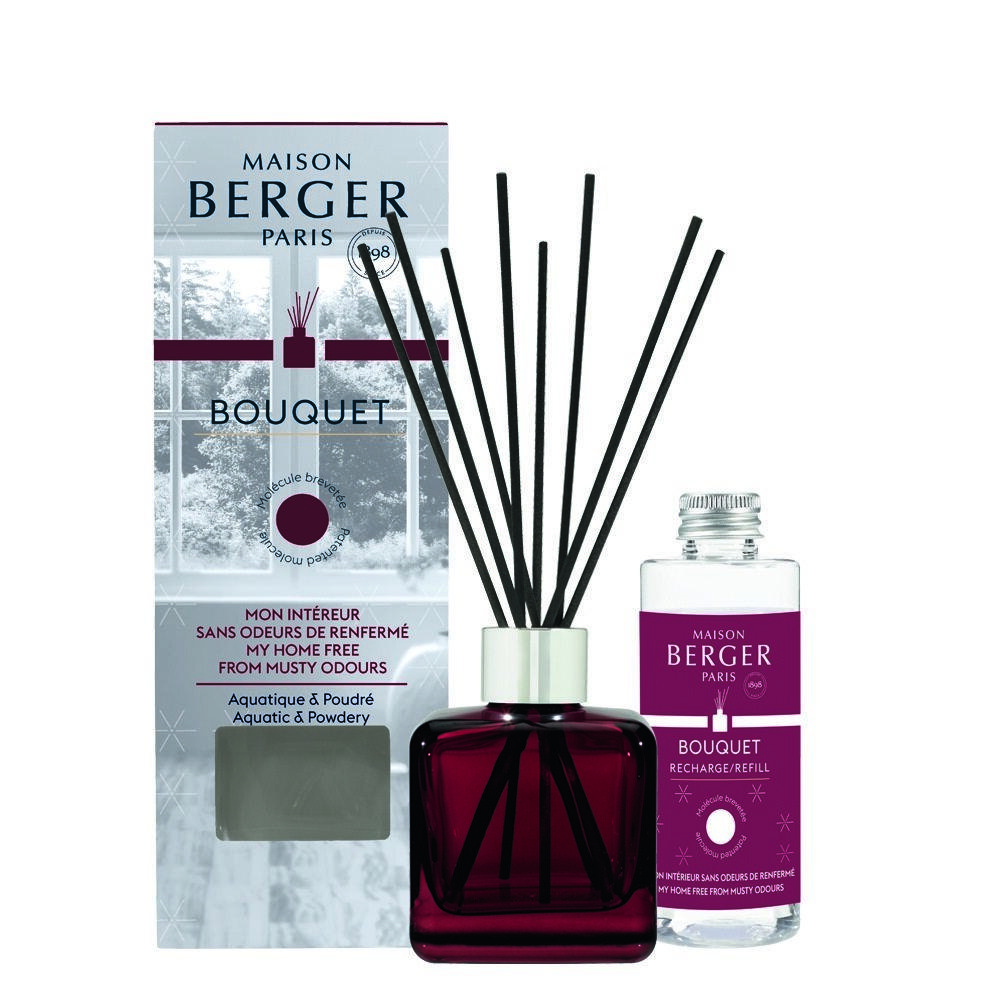 BERGER My home free from musty odours/Domov difuzér s náplní kostka 0,1l