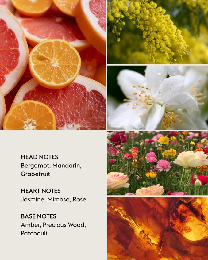 Aroma difuzér Mineral, švestkový + náplň Lady Flower 180 ml