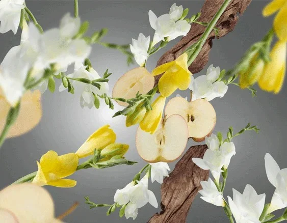 MBP_antiodour_zvirata_dotextu