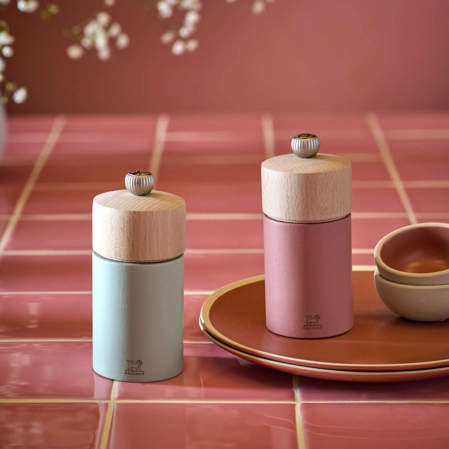 48167_boreal_mlynek_staroruzova_life