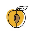 apricot