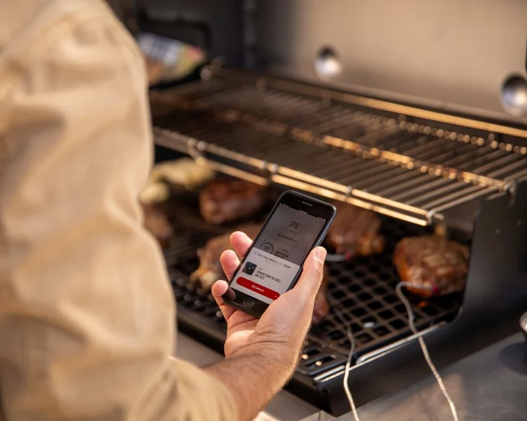 teplotní sonda ke grilu