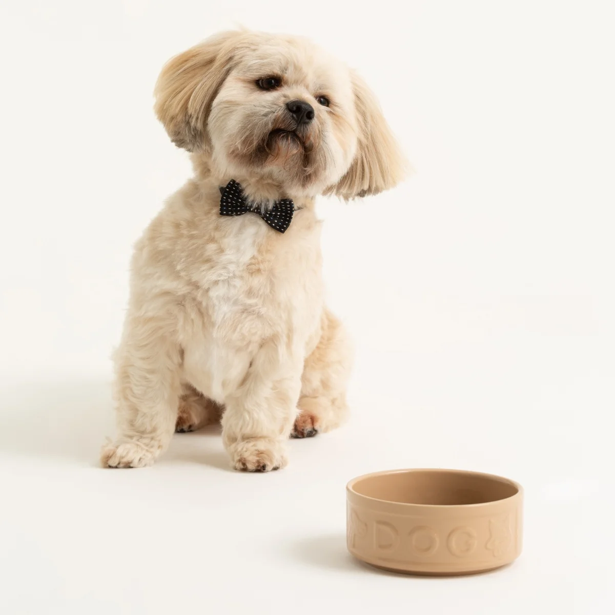 Miska pro psy Mason Cash Original, objem 700 ml, průměr 15 cm