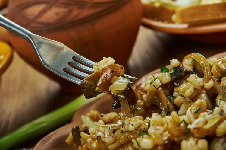 Vánoční houbový kuba