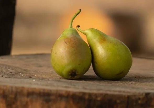 Hrušky
