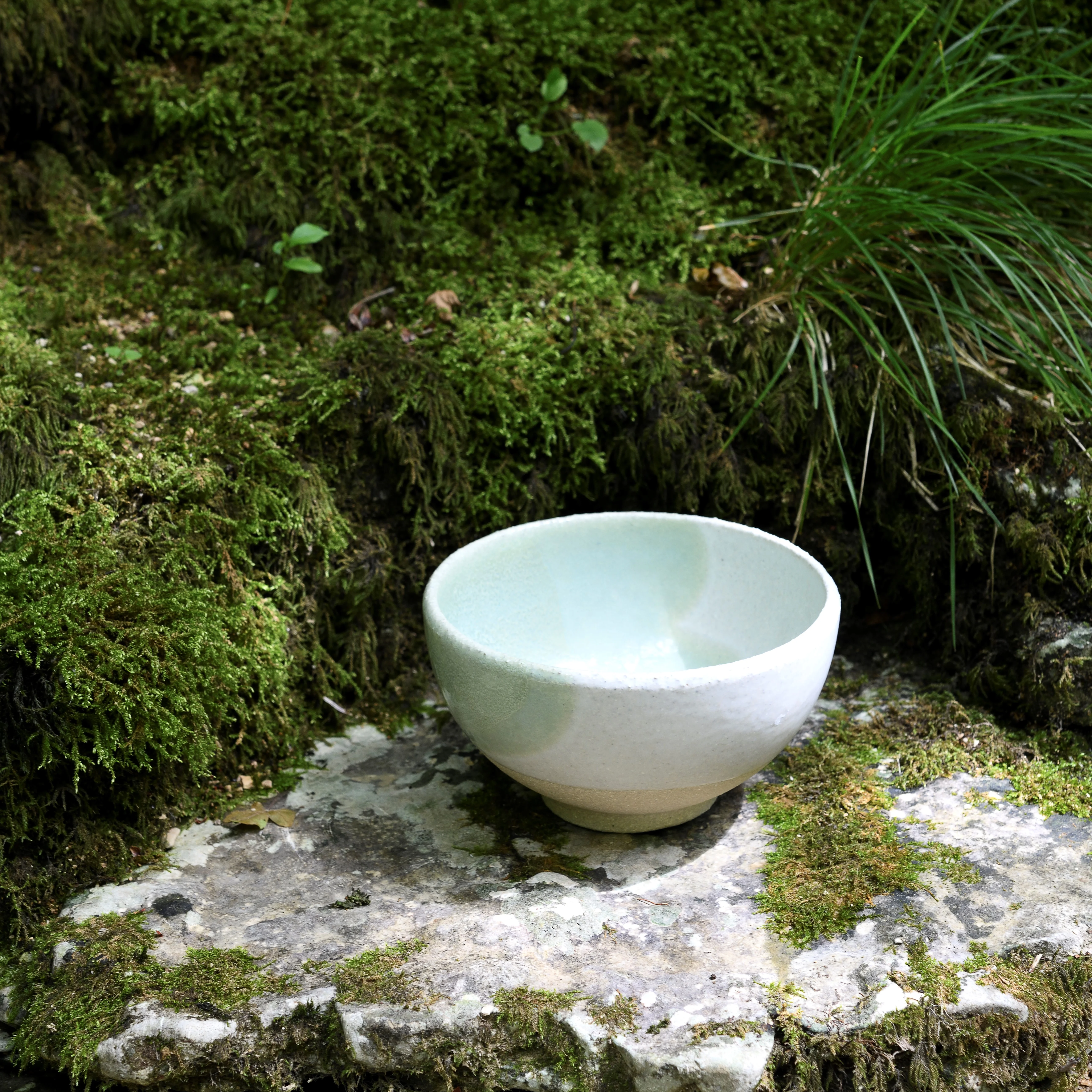 ed4defd6-099f-48e3-8e82-7ee495441786