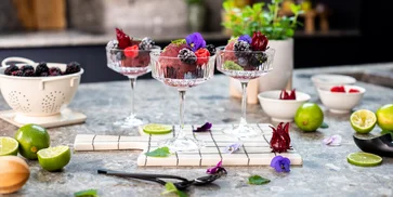 Domácí ovocný sorbet