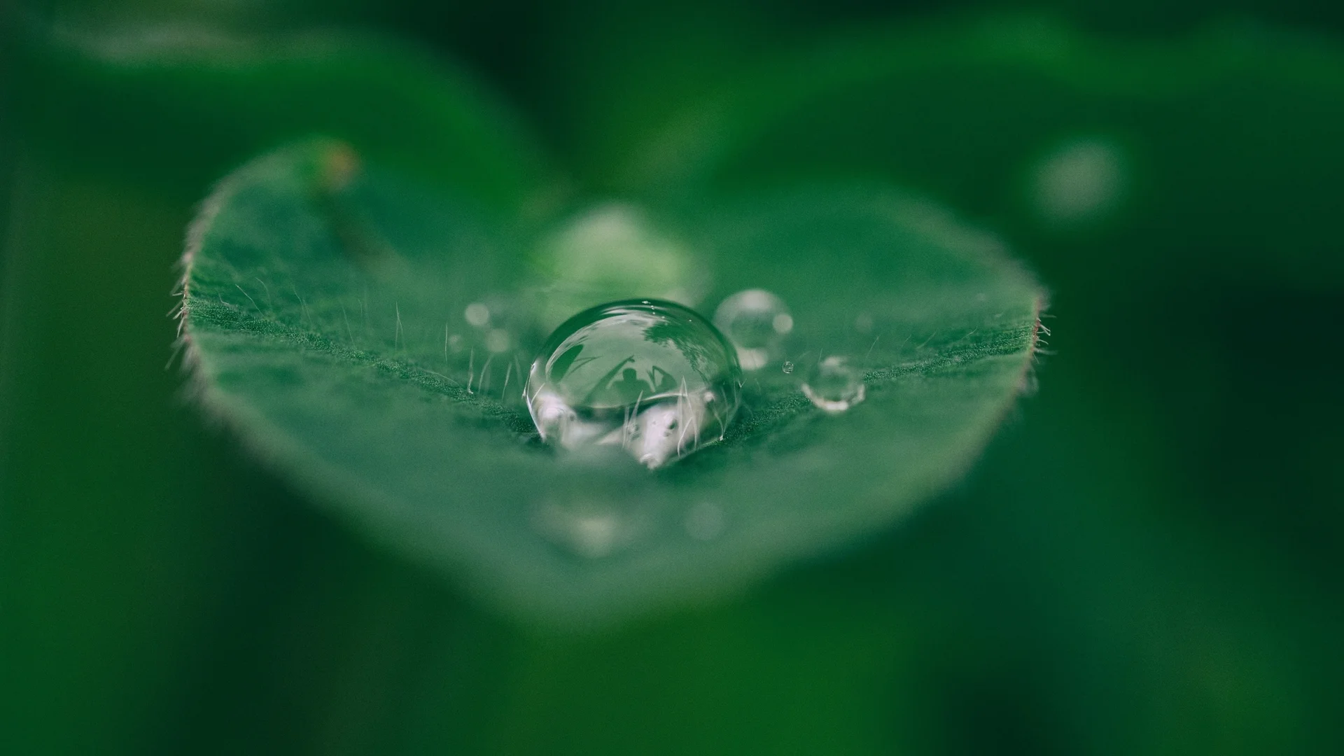 Voda nad zlato. Připomeňte si její důležitost v rámci Světového dne vody!