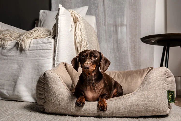 Kuchyň dělá člověka - Pavel Staněk