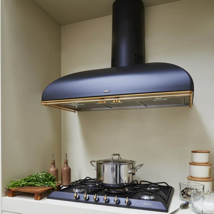 Smeg Odsavače par