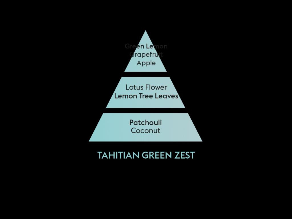 BERGER CAR difuzér do auta s náplní Zeste vert de Tahiti/Tahitská limetka limetkový