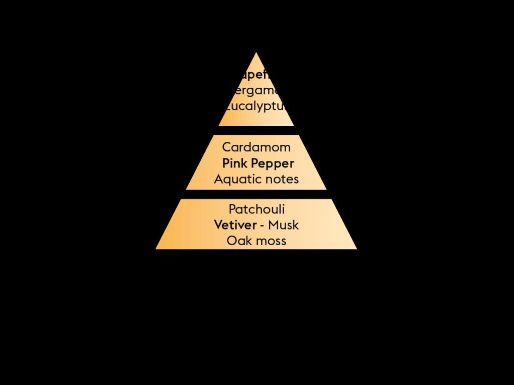 BERGER CAR 2 náhr. náplně Citrus Breeze / Citrusový vánek