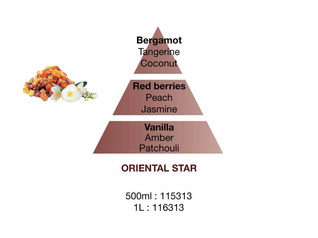 BERGER CAR 2 náhr. náplně Oriental Star/Kouzlo Orientu