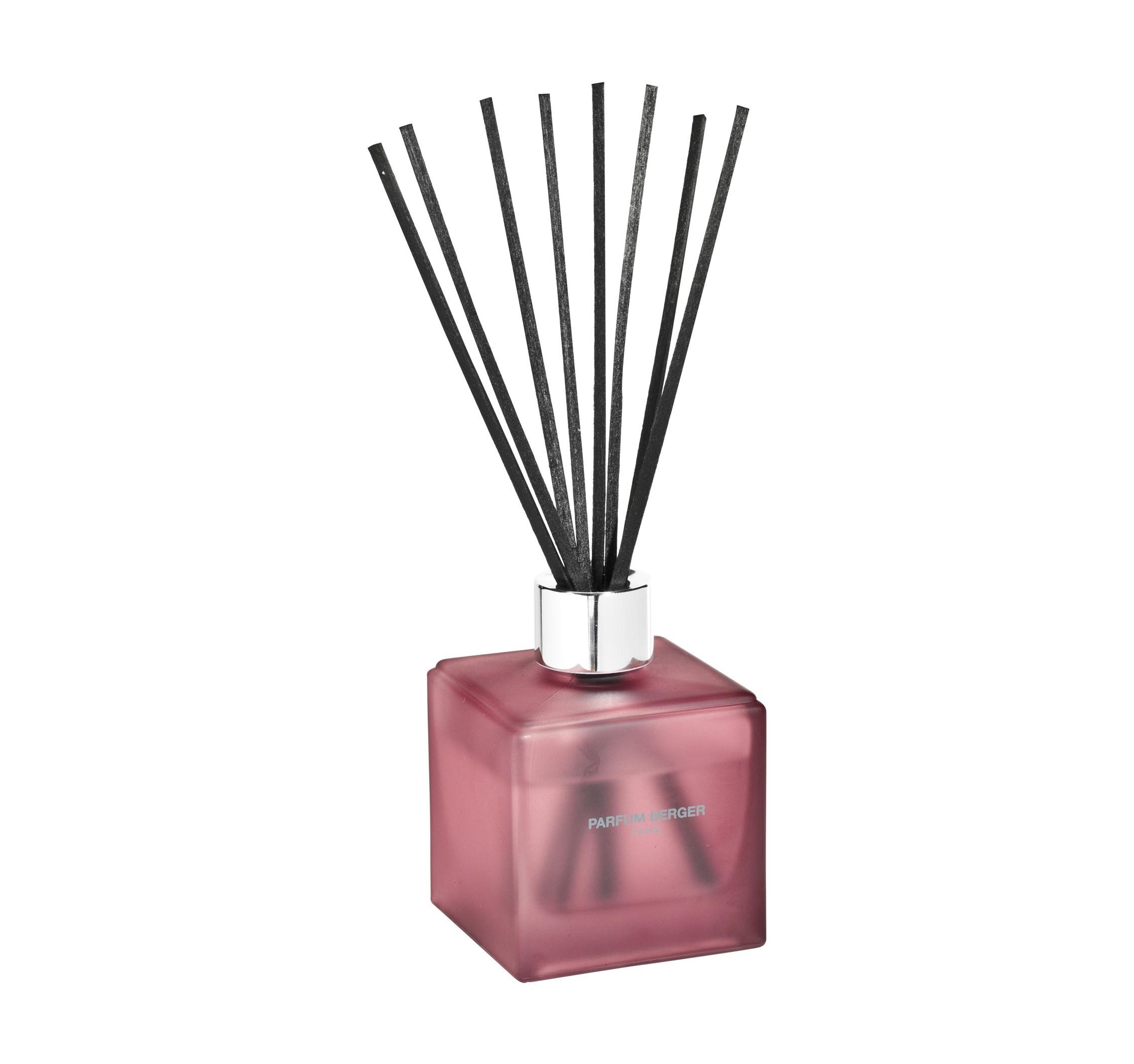 BERGER N for Kitchen N°2/ Na zápach v kuchyni difuzér kostka 125ml (EOL)