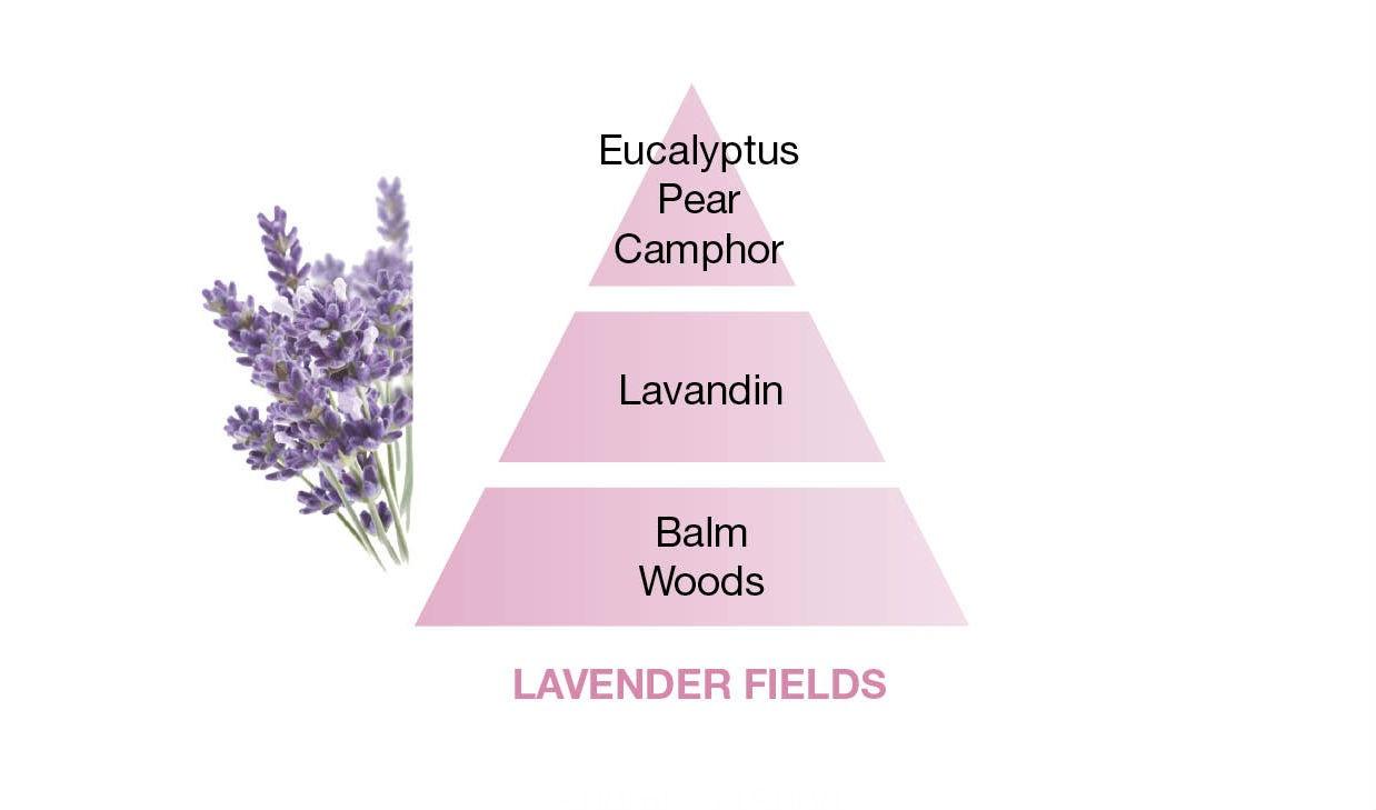 BERGER Graphique svíčka Levandulová pole 210g (EOL)