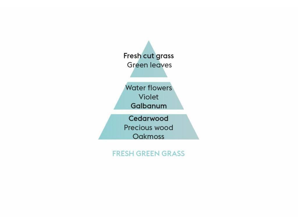 Aróma difuzér Cube, Vôňa trávy, 125 ml