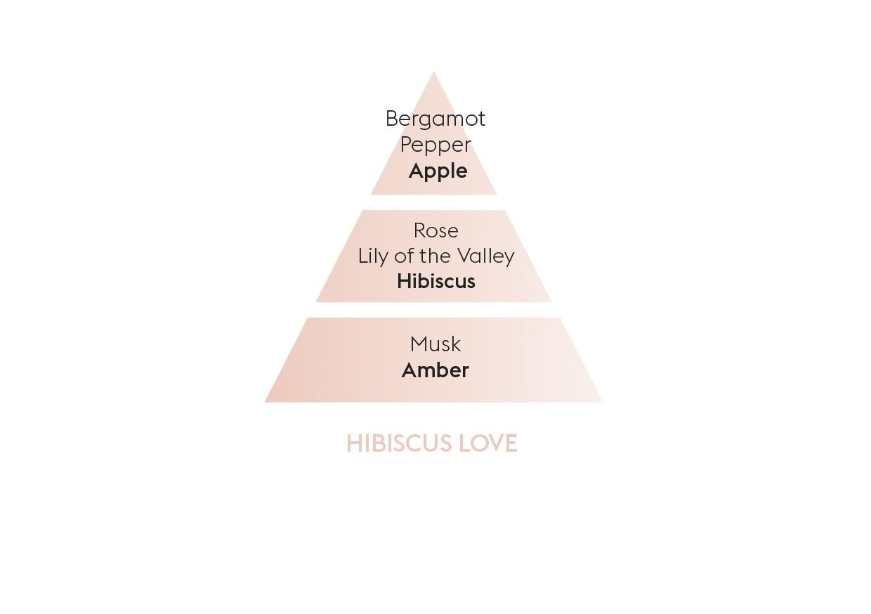 BERGER Hibiscus Love/Zamilovaný ibišek difuzér s náplní kostka 0,125l  (EOL)