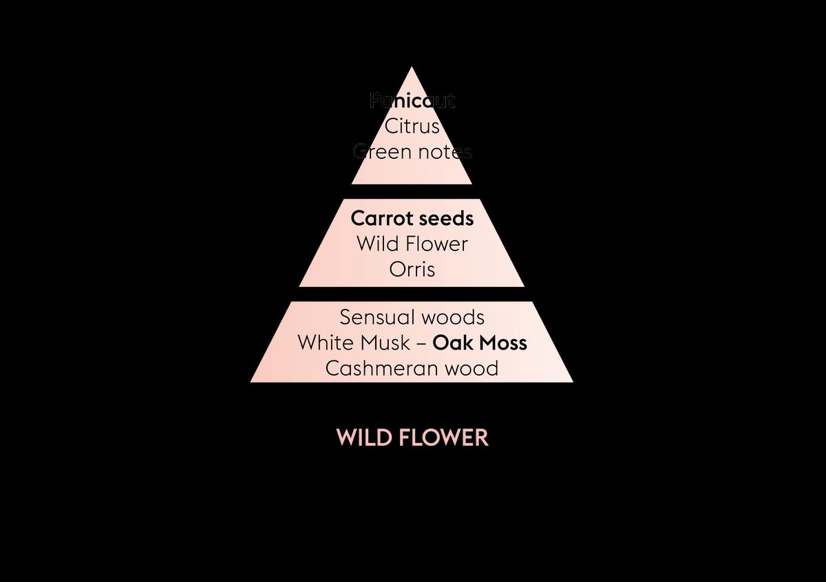 BERGER Land svíčka Divoký bodlák 180g šedozelená (EOL)