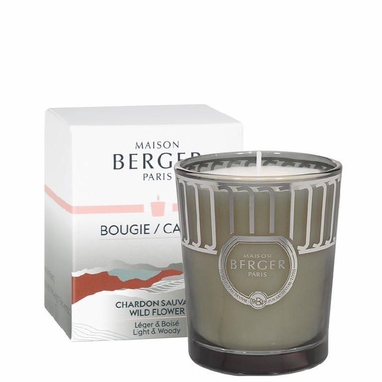 BERGER Land svíčka Divoký bodlák 180g šedozelená (EOL)