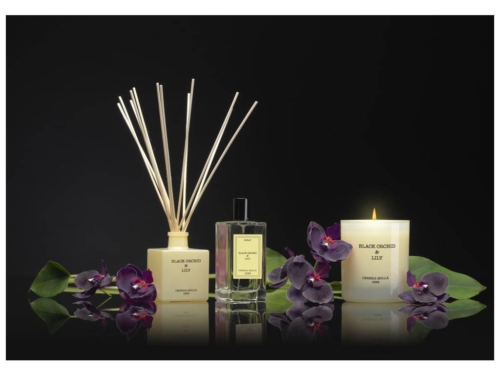 CERERIA MOLLA Large náplň do difuzéru Black Orchid & Lily 0,5l krémová (EOL)