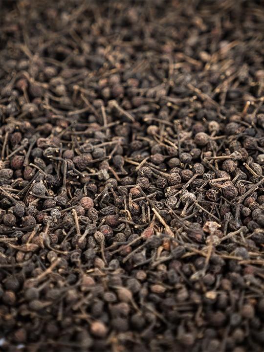 PEUGEOT Voatsiperifery Madagascar pepř divoký 55g (EOL)