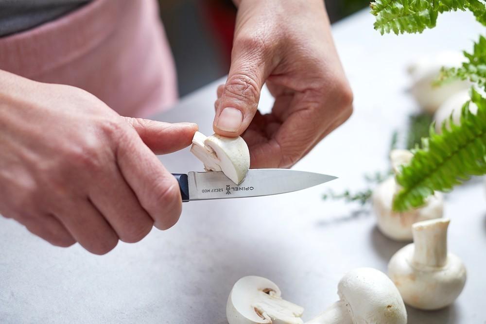 OPINEL Trio  Intempora ( 002223, 002220, 002218 )