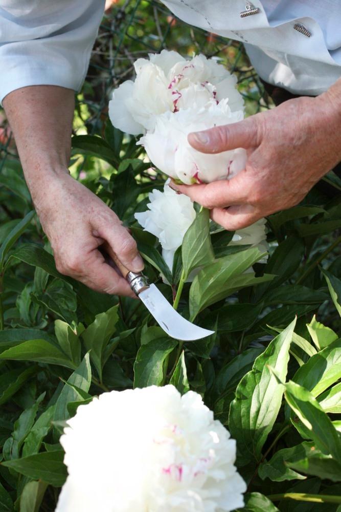 VR N ° 08 Prerezávací nôž