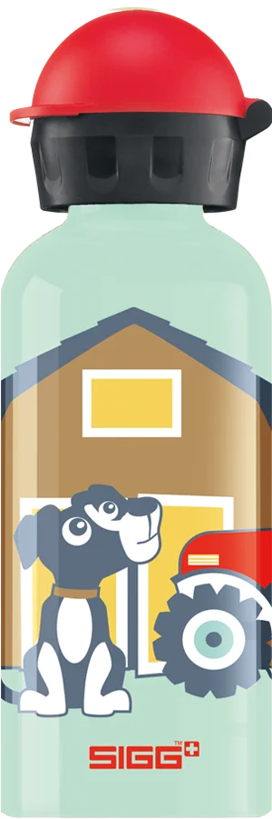 SIGG Farmini láhev 0,4l (EOL)