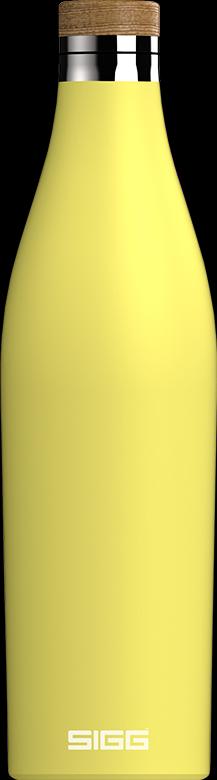 SIGG Meridian láhev 0,7l (EOL)