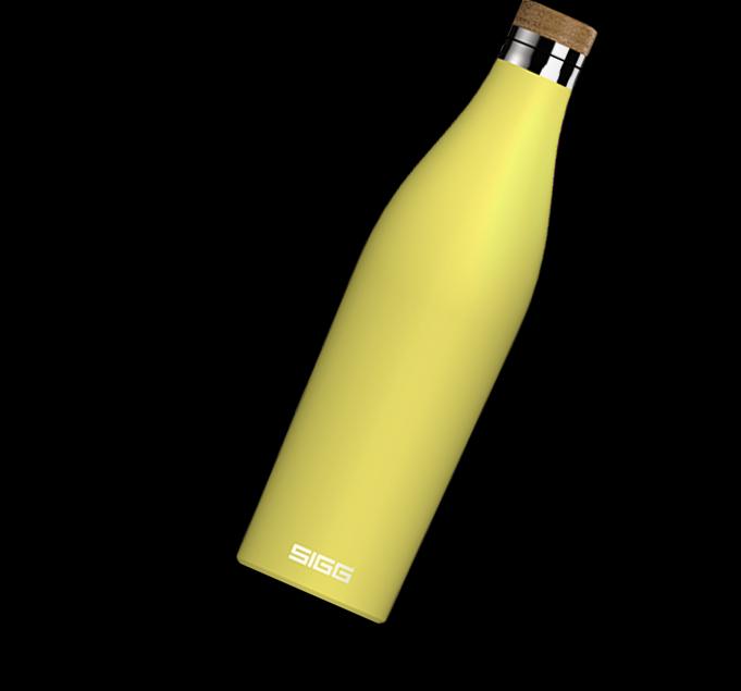 SIGG Meridian láhev 0,7l (EOL)