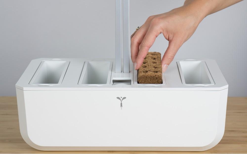 Véritable Lingot Tymián BIO (EOL)