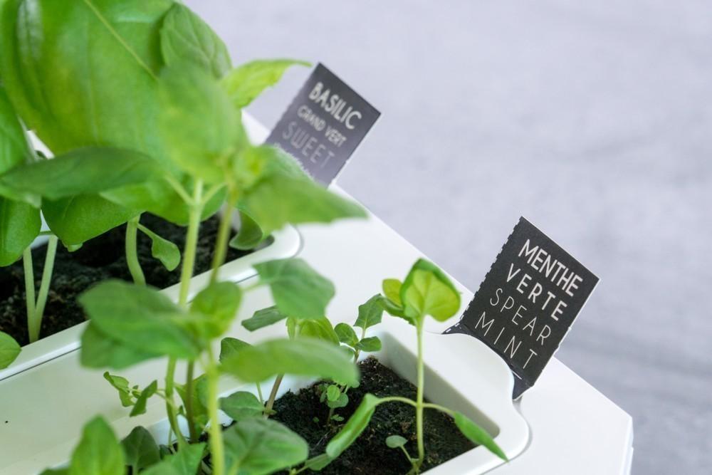 Inteligentný kvetináč ® SMART, biely