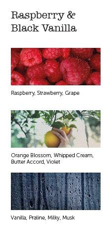 CERERIA MOLLA Boutique vonné tyčinky Raspberry and Black Vanilla 20ks krémové (EOL)