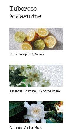 CERERIA MOLLA Boutique vonné tyčinky Tuberose & Jasmine 20ks krémové (EOL)