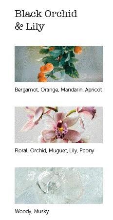 CERERIA MOLLA Boutique vonné tyčinky Black Orchid & Lily 20ks krémové (EOL)