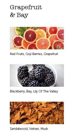 CERERIA MOLLA Boutique vonné tyčinky Grapefruit & Bay 20ks černé (EOL)