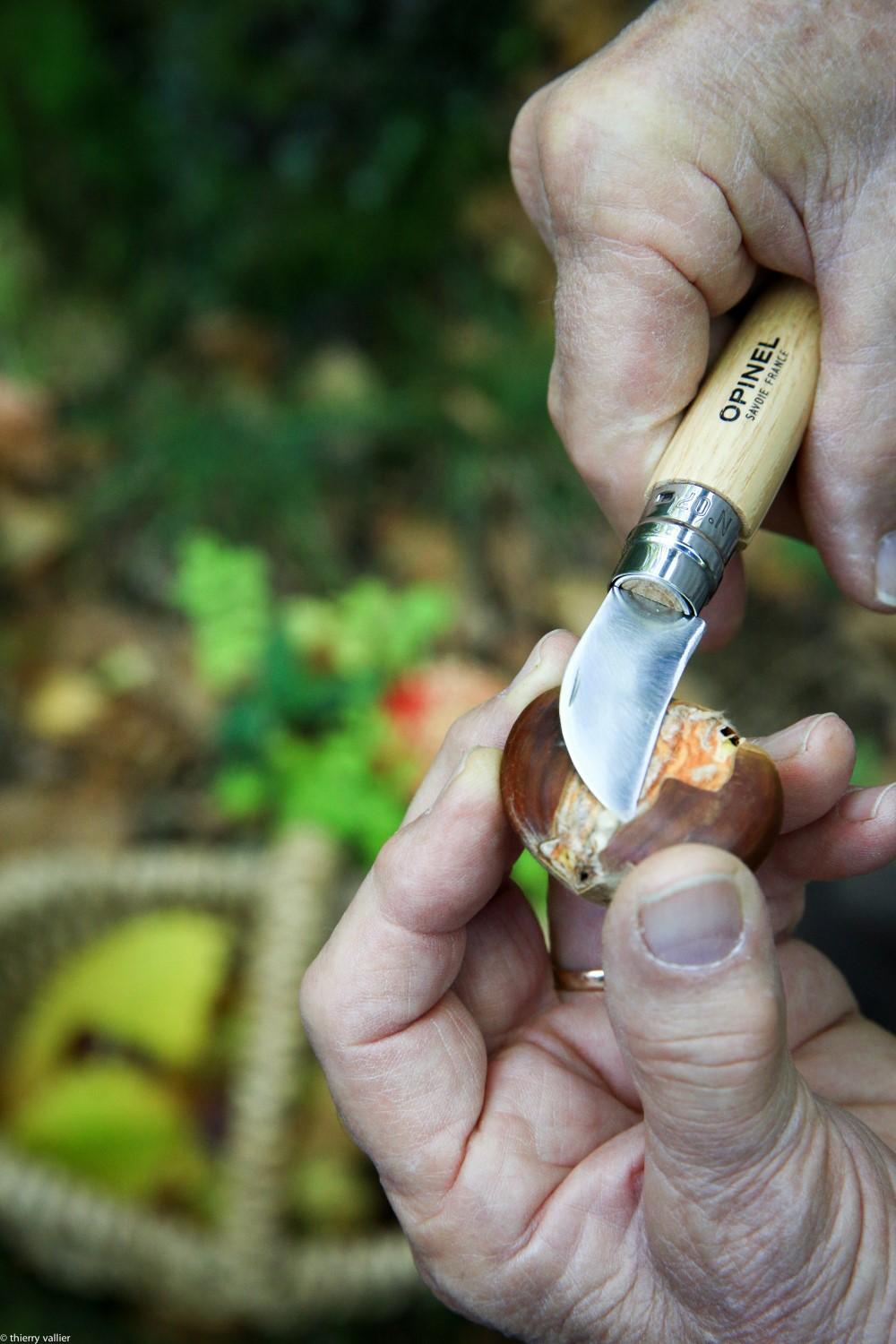 Nôž na gaštany N°07