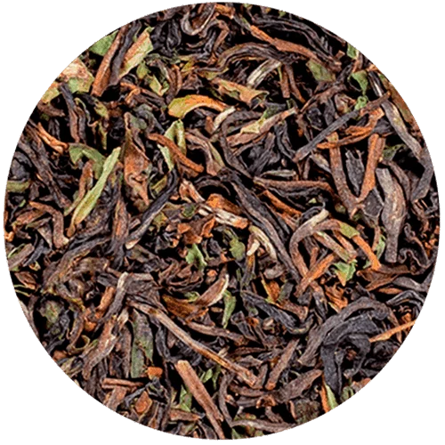 darjeeling_37_sypany
