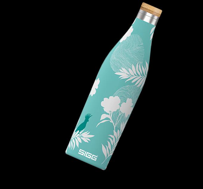 Dvojstenná fľaša na vodu z nehrdzavejúcej ocele Meridian Sumatra Birds, 0,5 l