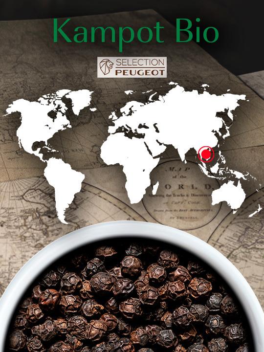 Čierne korenie Kampot Bio, 3 x 20 g