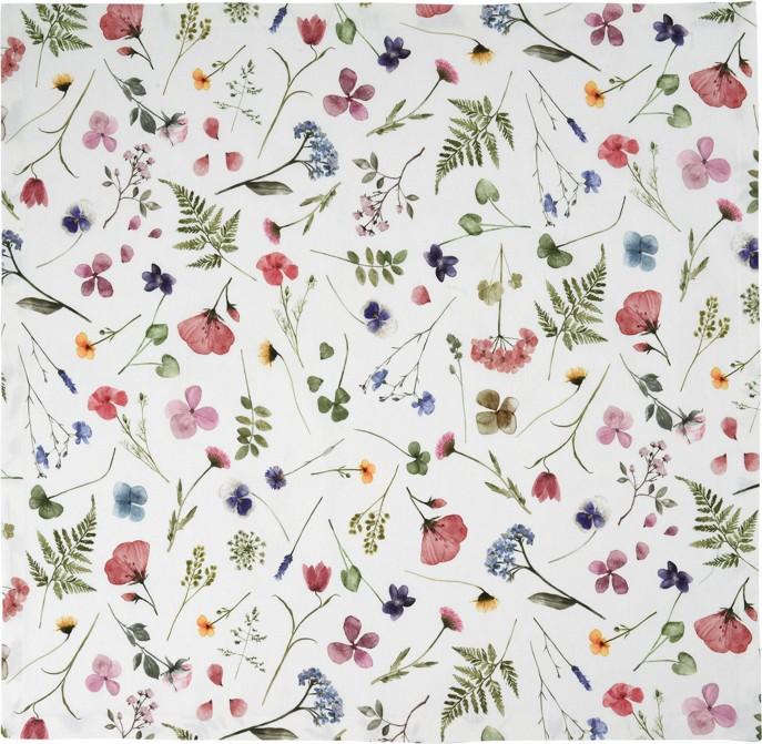 Prestieranie Marianne, 35 x 50 cm