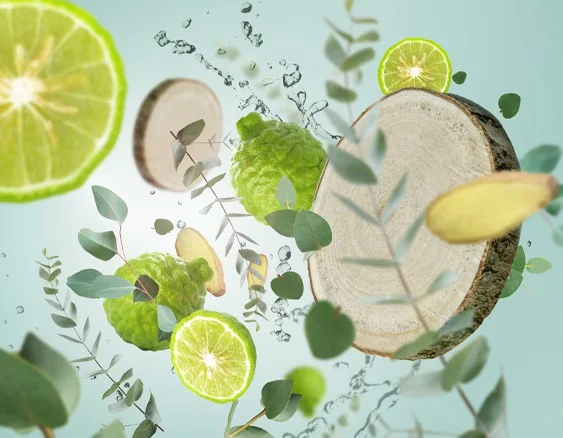 arómadifuzér a budík s vôňou od Mason Berger Paris