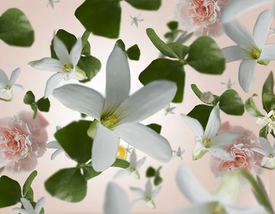 Vonné sviečky Cereria Mollá Bulgarian Rose & Oud prevoňajú váš domov sladko kvetinovou arómou ruží a drevitou vôňou agarového dreva