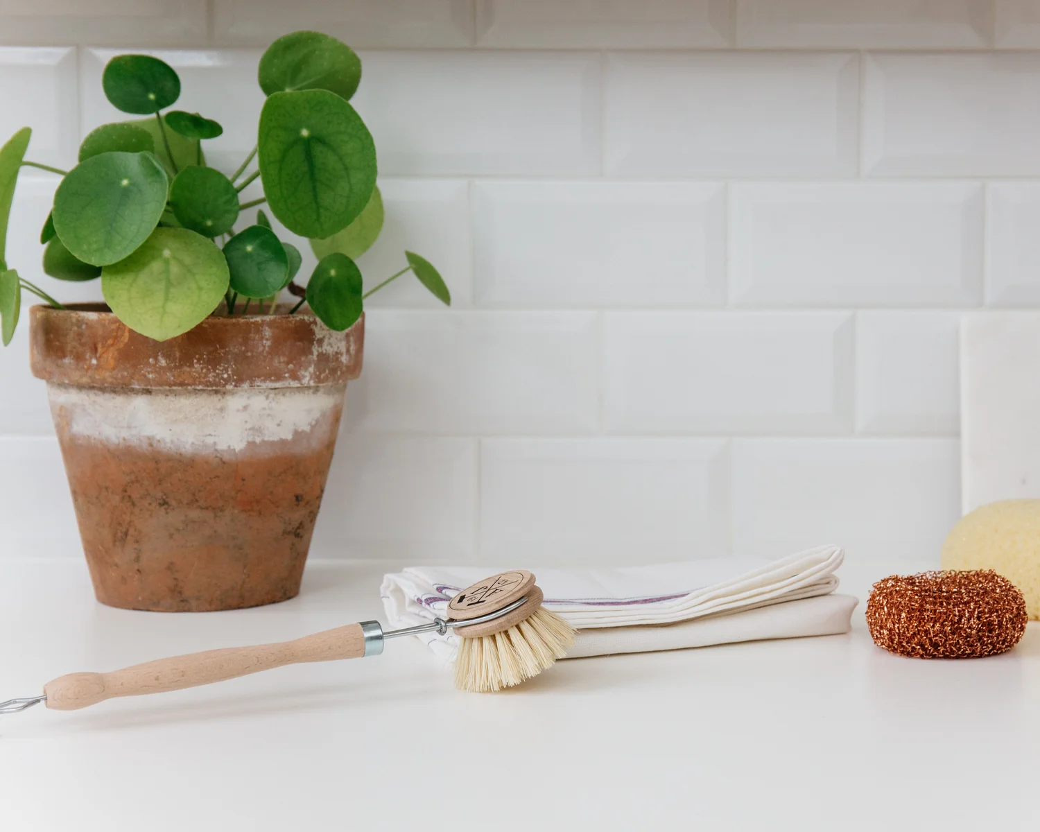 Andreé Jardin Súprava na umývanie riadu zero waste, mydlo mäta / citrón