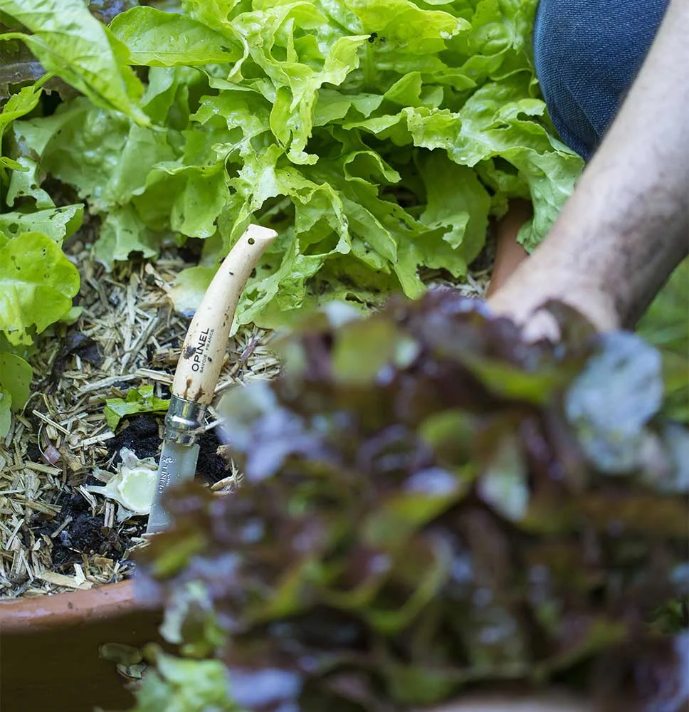 7305e3f0-0f9c-4951-948b-36f6ac61af24