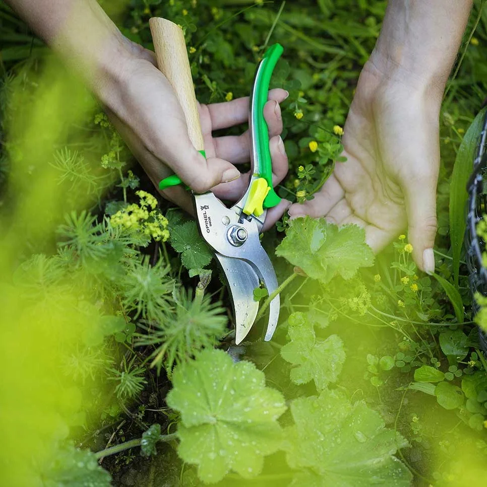 4d9f6a98-eb16-4636-b0e9-8ccd715dd3a7