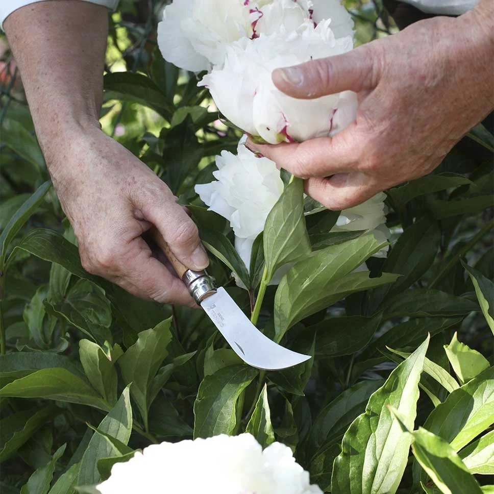 a63f6e1c-de9a-4e7b-ac4e-16d223663af0